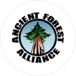 Ancient forest Alliance logo
