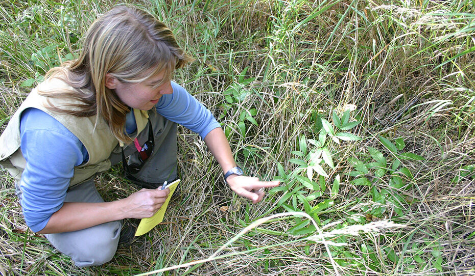 Plant field surveys