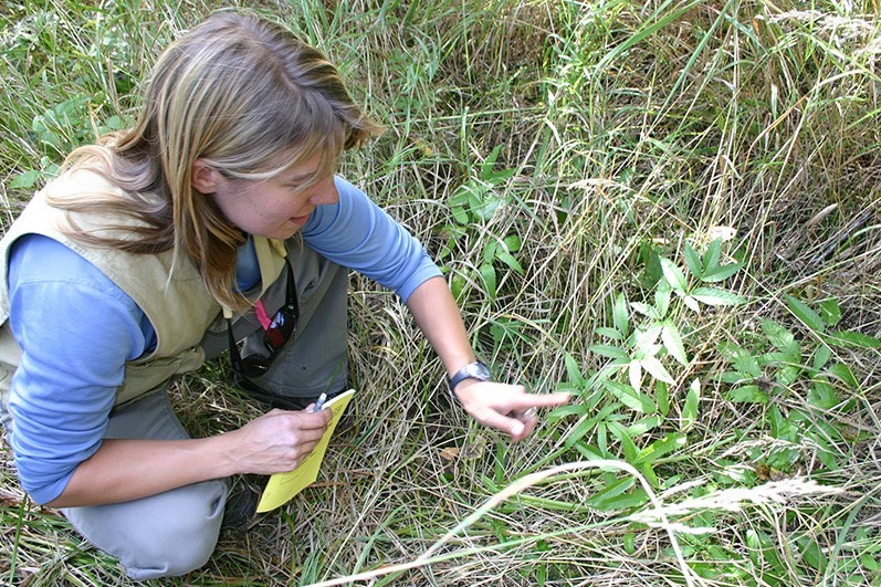 Plant Field Surveys