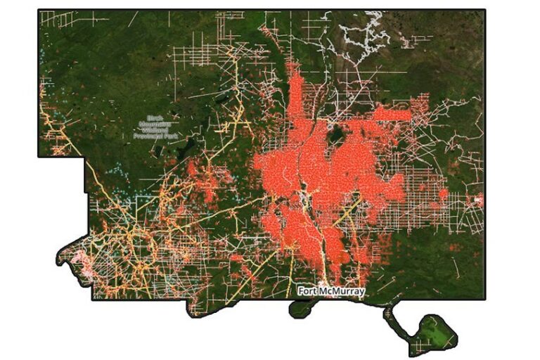 Disturbance Map for cumulative effects study