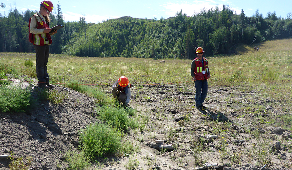 Field Crew