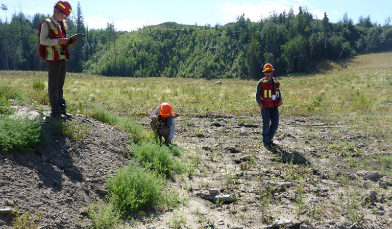 Field crew