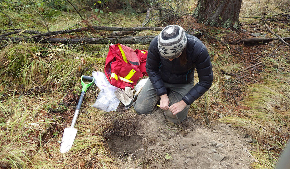 Soil sampling