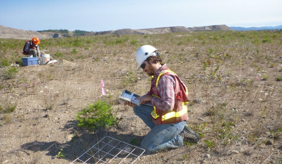 Vegetation Microplot