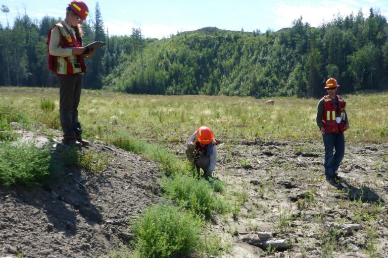 Field Crew