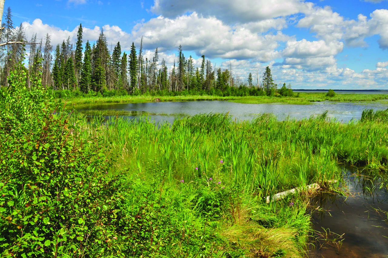 Shoreline of McClelland Lake — an important land-use location for the Fort McKay Métis Nation.
